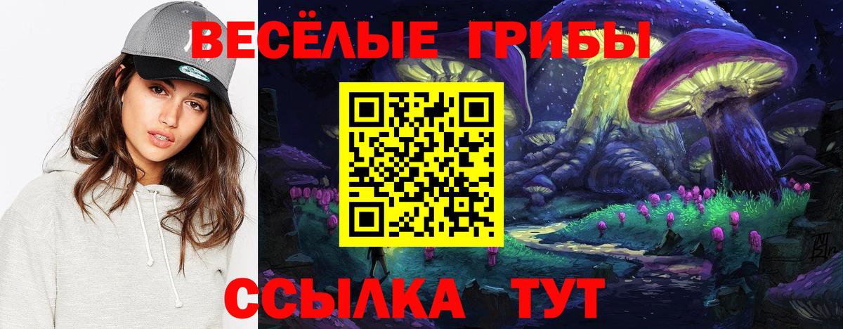 Галлюциногенные грибы GOLDEN TEACHER  Вход с VPN  Знаменск 