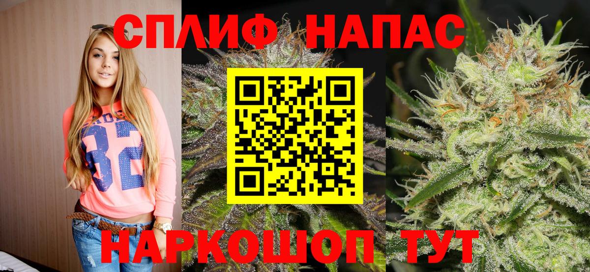 Бошки Шишки сатива Знаменск